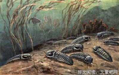 最经典的《二叠纪》好段摘抄大全