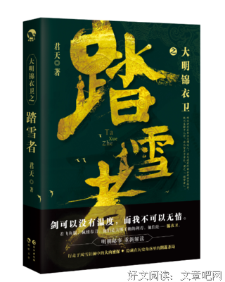 大明锦衣卫之踏雪者读后感摘抄