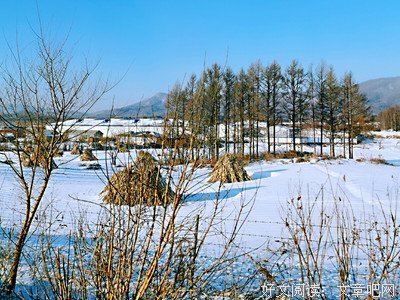 《一半寂静，一半喧嚣》读后感100字