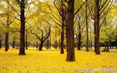 《大鳄三部曲》的读后感大全