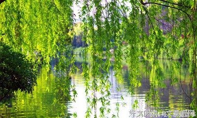 关于妙笔生花的名言