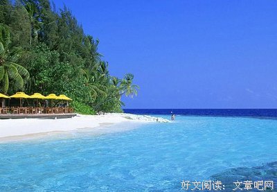 蓝海战略2：蓝海转型读后感1000字