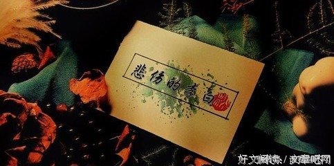 天边一星子经典读后感有感