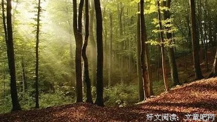 不讨好别人，不将就自己读后感锦集
