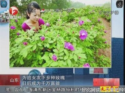 种玫瑰的男人读后感1000字