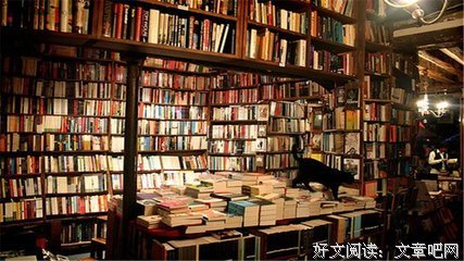 不安的演奏读后感100字