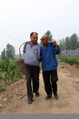 鹰啊，我是你兄弟经典读后感有感