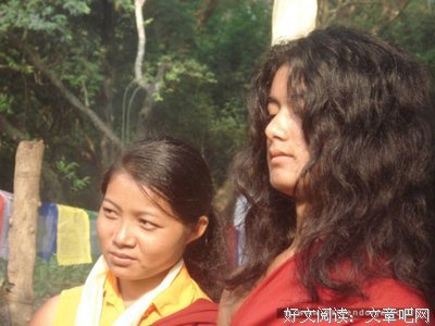 《真相大白》经典影评集