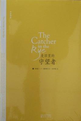 读闲书读后感100字
