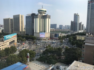 《鲸奇》影评精选