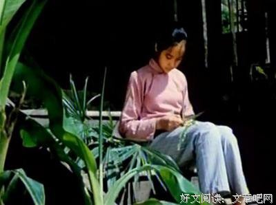 《灵魂摆渡人》的句子