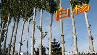 练笔句子