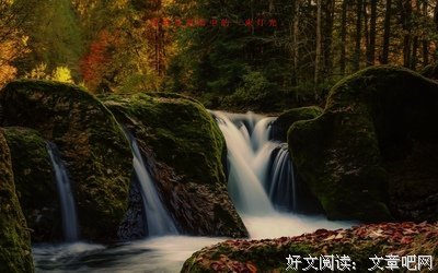 优美语录