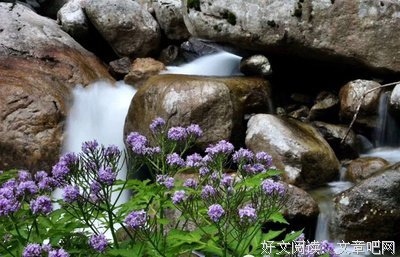 昨夜生对山风凋碧树经典的句子