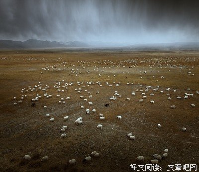 最全的《冬牧场》经典句子大全