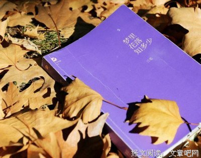 《几个你》经典语录