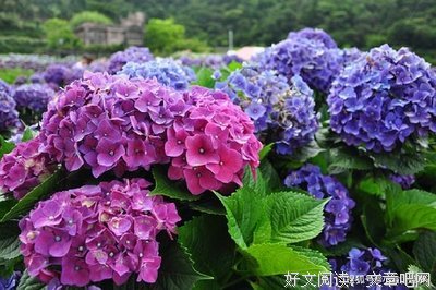 最经典的《别害怕》经典语句