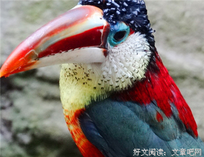 树洞 | 男女之间，什么可以过夜？