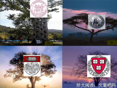 《黄金时代的故事》观后感100字