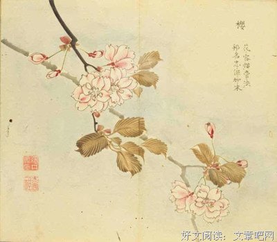 《美人如诗，草木如织：诗经植物图鉴》的读后感大全
