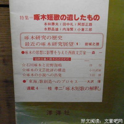 石川啄木短歌读后感精选