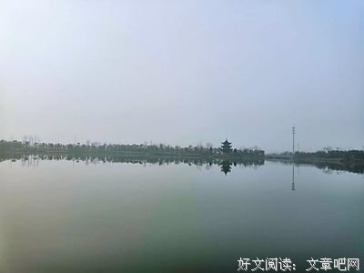 《无所畏》读后感锦集
