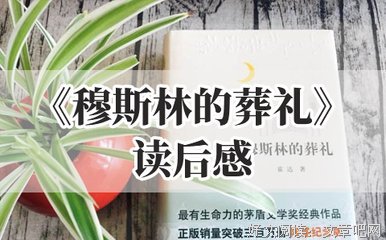 玉器之道的读后感大全