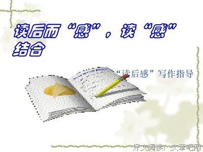 极速写作读后感锦集