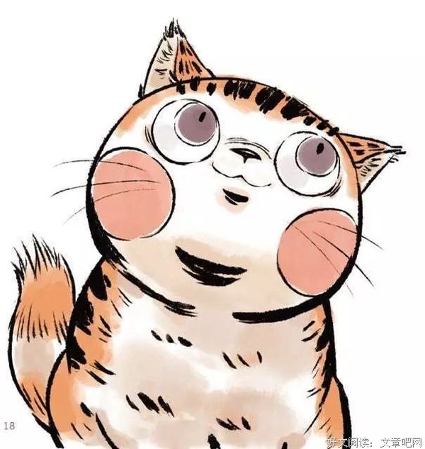 不如撸猫去读后感1000字