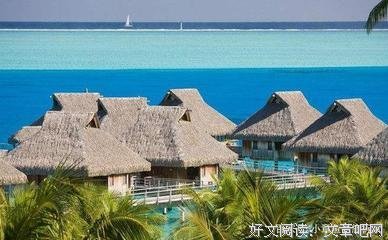《小岛西岸的来信》的读后感大全
