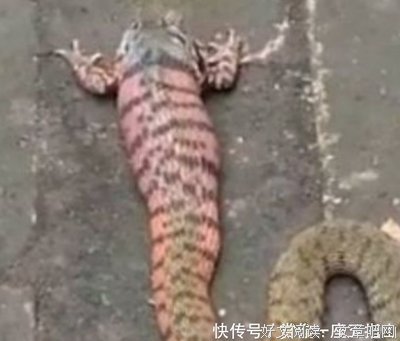 《一定有人在祈祷着》读后感锦集
