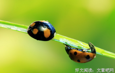 《都市一无所有》读后感100字
