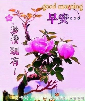 有关一个人也能好起来的句子