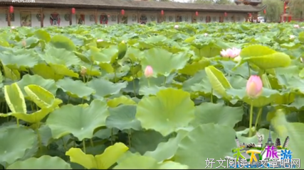 最经典的汉乐府名言大全