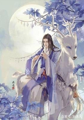 最经典的《千劫眉》名句欣赏