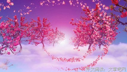 最新的《半壶纱》好段摘抄大全