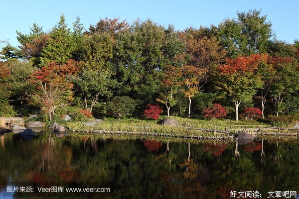 《里山：日本神秘水上花园》经典影评有感
