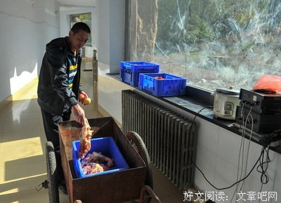 在西伯利亚森林中读后感1000字