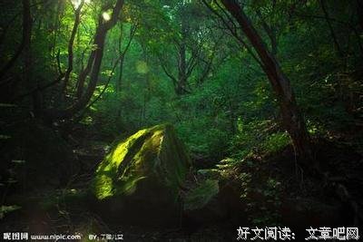 仙灵王庭纪读后感1000字