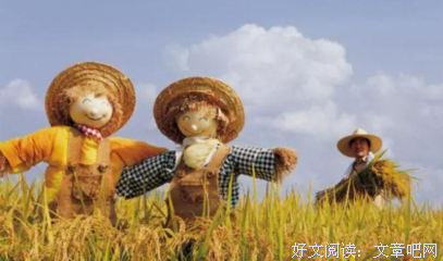 《可爱的手账》的读后感大全