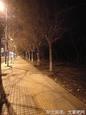 《寒夜》的影评大全