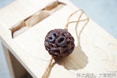 《玩味简烹》读后感100字