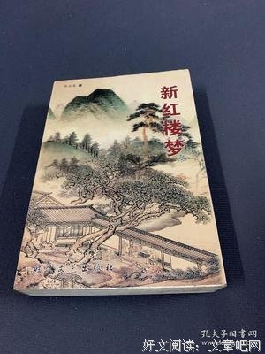 《新红楼梦》影评100字