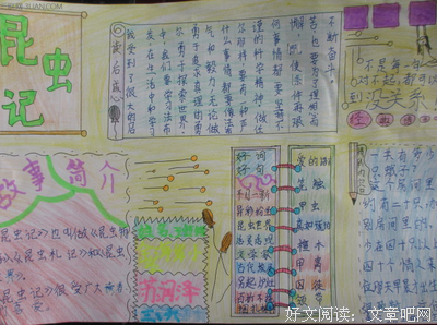 蜘蛛男孩读后感摘抄