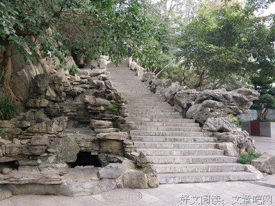 《家族荣誉》好看吗？经典观后感锦集