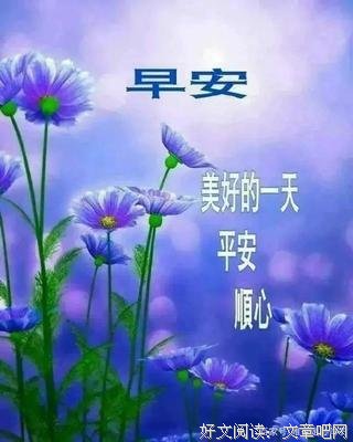 为声中与汝相识优美的句子