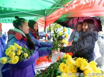 一宵冷雨葬梨花句子大全