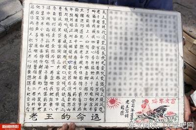 关于我家史史的句子