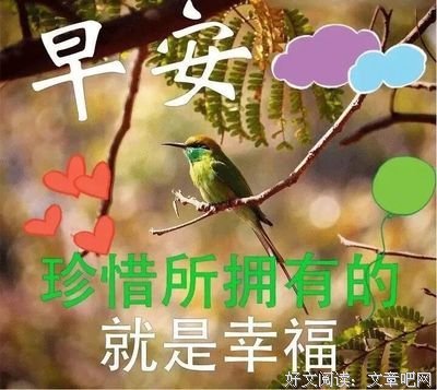 清风经典的句子