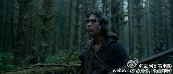 《当树枝折断时》的观后感大全
